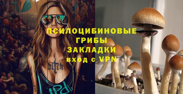 мескалин Михайлов