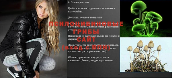метадон Михайловск